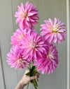 Alloway Candy